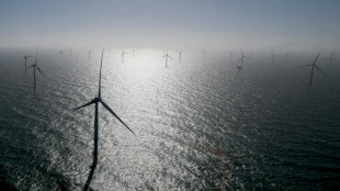 European summit looks to boost wind energy production