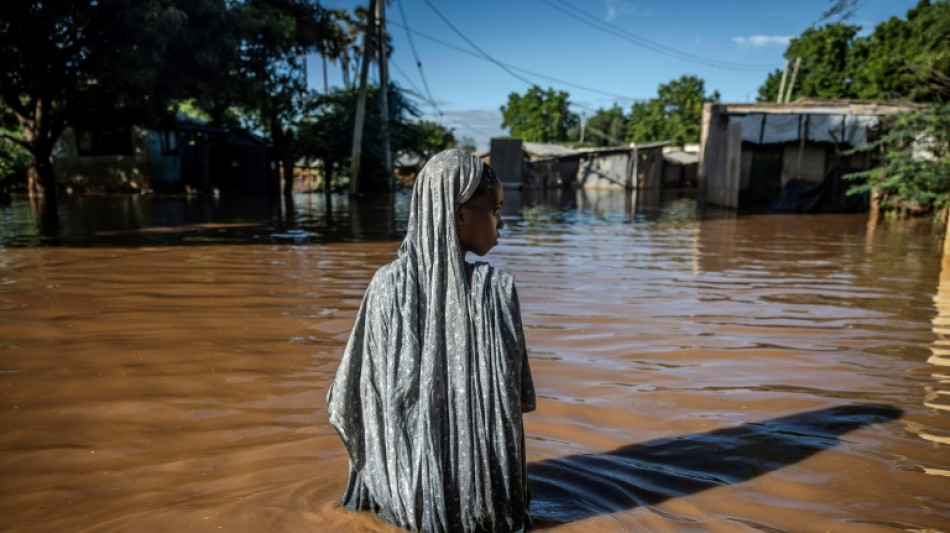 COP29 fight looms over climate funds for developing world