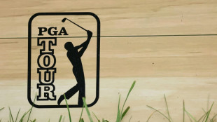 PGA players council seeks smaller fields, fewer full tour spots