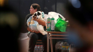 Makeshift clinic saving pets burned in Chile forest fires