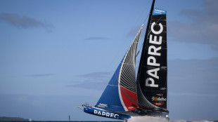 Vendée Globe: Dalin dans le sillage de Richomme