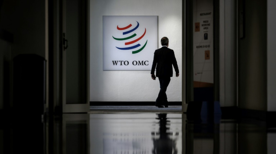 WTO talks go deep into overtime