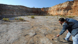 Orme di dinosauri svelano l'ultimo ponte tra Africa e America