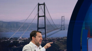 Salvini, da 50 anni siciliani non hanno il ponte e il resto