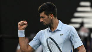 Djokovic erreicht 48. Grand-Slam-Halbfinale