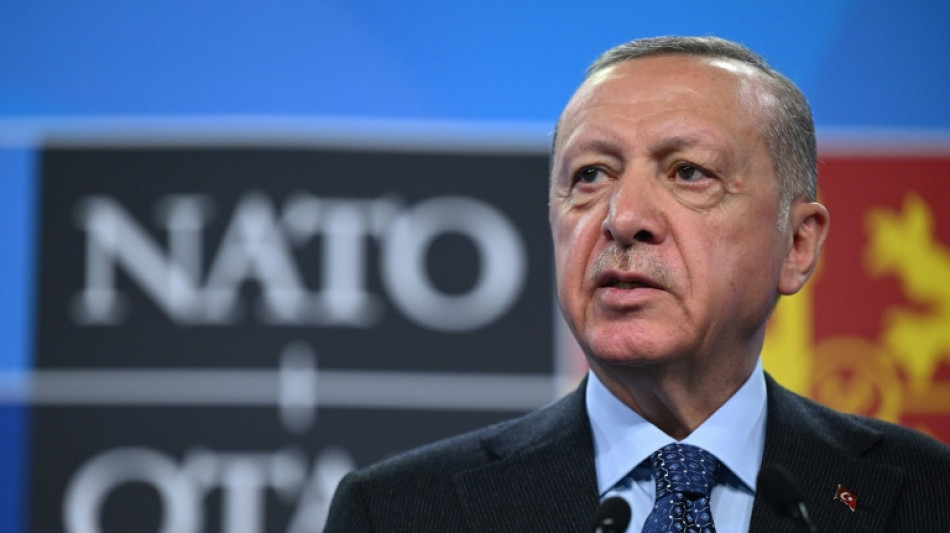 Erdogan droht erneut mit "Einfrieren" der Nato-Beitritte Schwedens und Finnlands