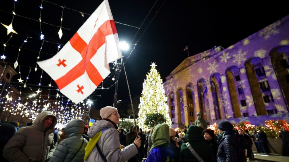 'Game of nerves': Georgians vow to outlast govt in pro-EU protests