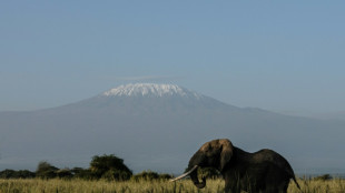 Crunch UN biodiversity meeting seeks to save 'planet in crisis'