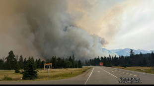 Wildfires push Canada into top four CO2 emitters