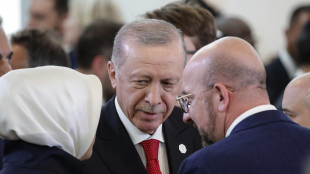'Erdogan a Berlino per Olanda-Turchia dopo caso Demiral'