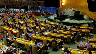 UN to vote on measure pushing states to justify veto use