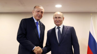 Ucrania y Siria centran la reunión de Erdogan y Putin en Rusia