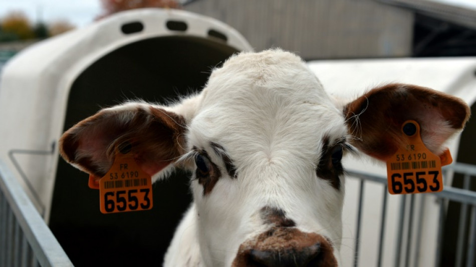 Dairy giant Danone vows to slash planet-warming methane