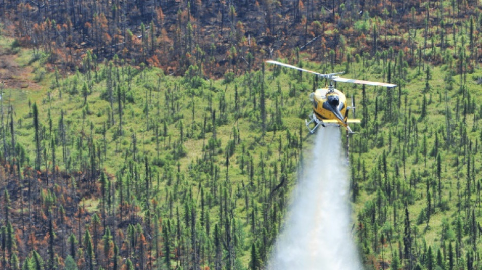 Plus 10 millions d'hectares partis en fumée au Canada