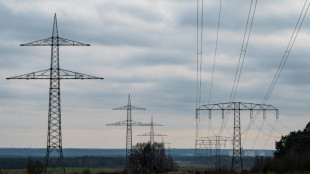 Scholz hält "Blackout" bei Stromversorgung im Winter für unwahrscheinlich