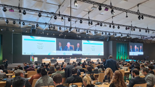 ++ Cop29 approva il mercato internazionale del carbonio ++