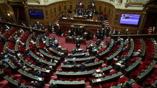 Budget de la Sécu: le Sénat s'empare d'un projet truffé d'irritants pour le socle commun