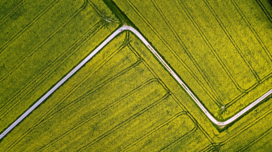 Erzeugerpreise in der Landwirtschaft im Jahresvergleich erneut stark gestiegen