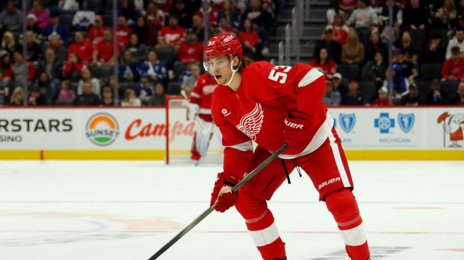 NHL: Seider und Detroit verlieren in New York