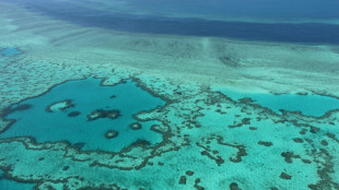 Unesco aplaude compromiso económico de Australia para proteger la Gran Barrera de Coral