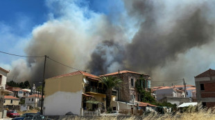 Greece, California battle fierce wildfires amid heatwaves