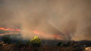 Evacuata la città di Maratona in Grecia per gli incendi