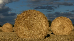 In Euskirchen brennen rund 6000 Strohballen