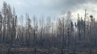 Incendies dans l'Ouest canadien: l'arrivée de la pluie ravive les espoirs