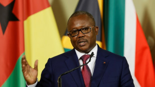 Präsident von Guinea-Bissau löst Parlament auf und kündigt Neuwahlen auf