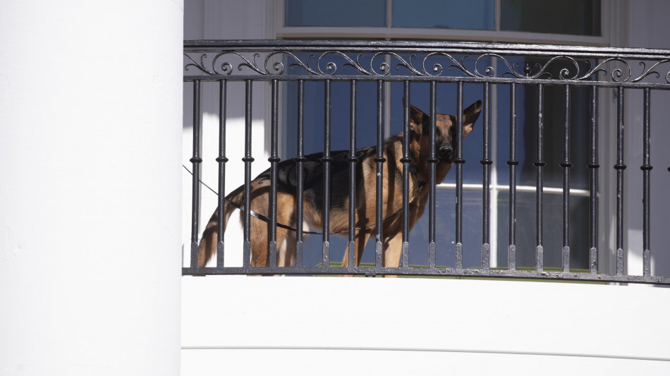 Governatrice South Dakota, anche il cane di Biden va ucciso