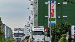 New rules drive Japanese trucking sector to the brink