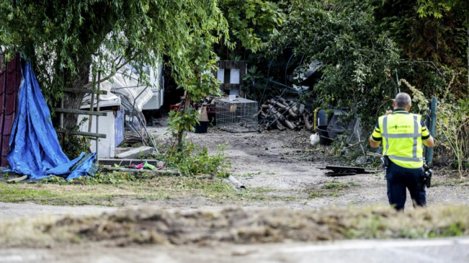 Lkw rast in Niederlanden in Grill-Fest - Sechs Todesopfer