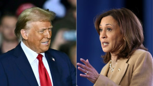 Harris y Trump queman sus últimos cartuchos electorales para las presidenciales