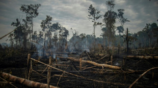 En la Amazonia, el punto de inflexión se acerca más rápido de lo esperado