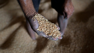 Brot für die Welt fordert "anderes weltweites Ernährungssystem" gegen Hungerkrise