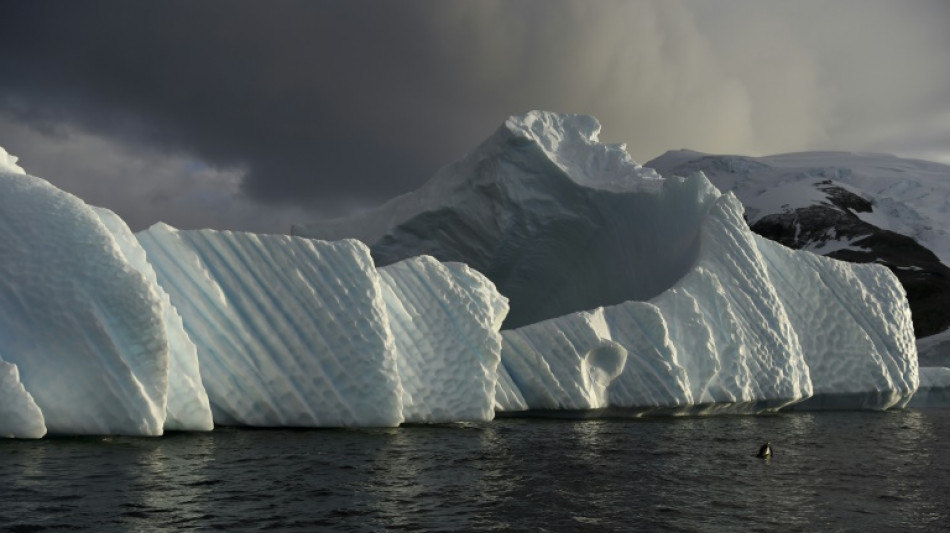 Antarctique: les courants océaniques profonds ralentissent plus tôt que prévu, selon une étude 