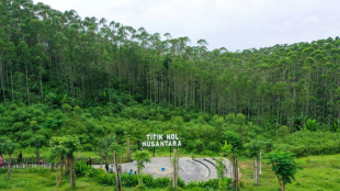 La nueva capital indonesia amenaza el paraíso natural de Borneo