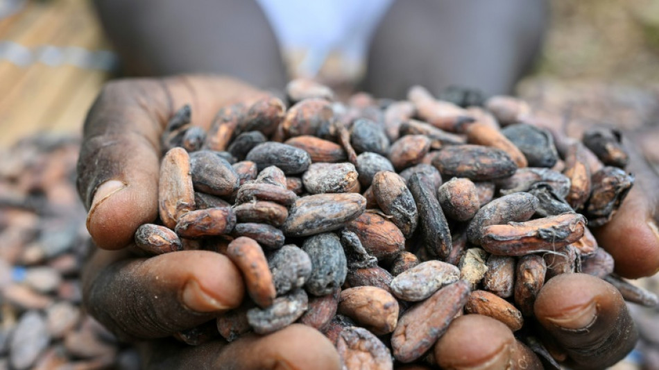 Who profits from the soaring price of cocoa?
