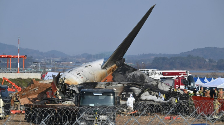 South Korea to lift Jeju Air plane tail after fatal crash