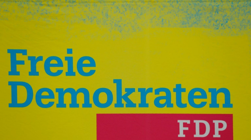 FDP-Fraktion berät in Hamburg über Haushalt und Wirtschaftspolitik