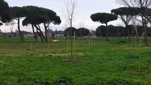 Nasce il progetto per il gemello digitale del verde italiano