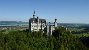 Lebenslange Haft für tödliche Attacke bei Schloss Neuschwanstein