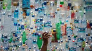 Only nine percent of plastic recycled worldwide: OECD