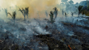 La deforestación en Amazonas aumenta y reduce las lluvias, según un estudio