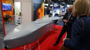 Ucrânia pede mísseis de cruzeiro à Alemanha