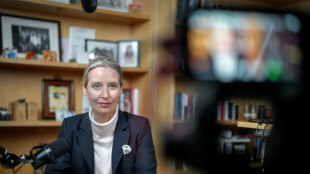 AfD-Chefin Weidel kann sich Partei-Rechtsaußen Höcke als Minister vorstellen