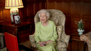 Queen cancels virtual audiences due to Covid: palace