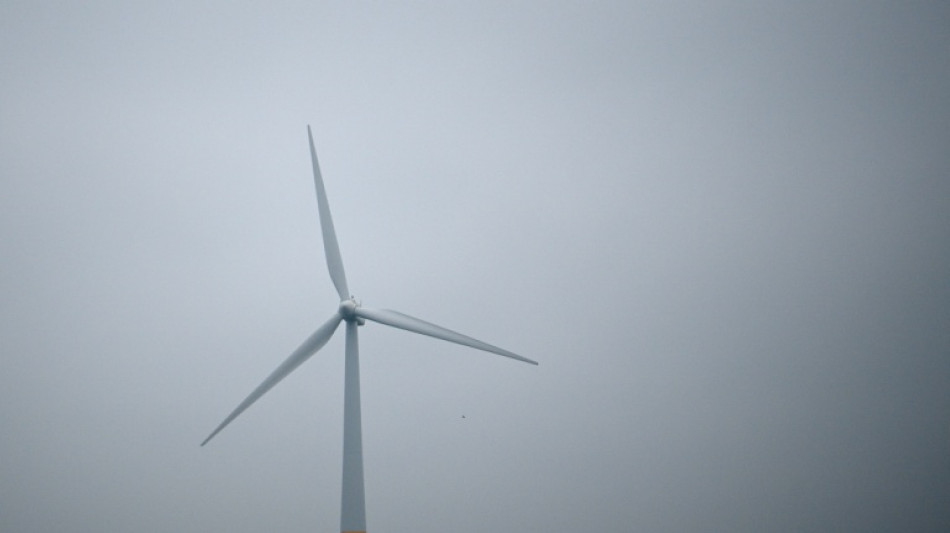 La France lance l'éolien en mer Méditerranée