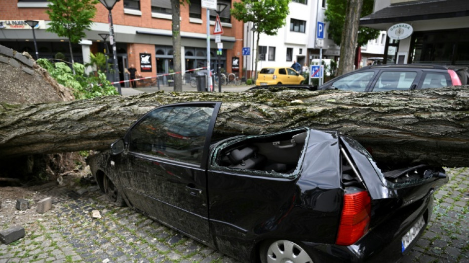 Urteil: Parkhausbetreiber haftet nicht nach Sturmschaden durch Baum an Auto