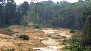 Deforestación de la Amazonía brasileña marca nuevo récord para febrero